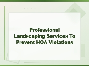 Professional Landscaping Services to Prevent Hoa Violations and Maintain Compliance